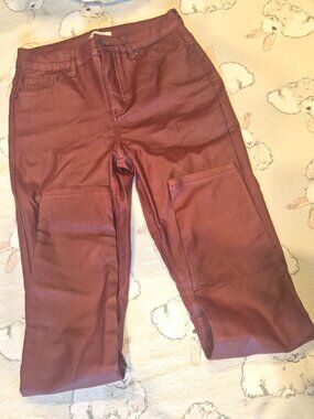 BLEU Faux Leather Pants Burgundy Size 8